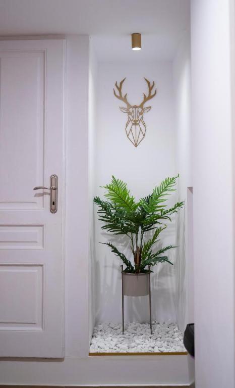 בראשוב Coban Residence Apartments מראה חיצוני תמונה